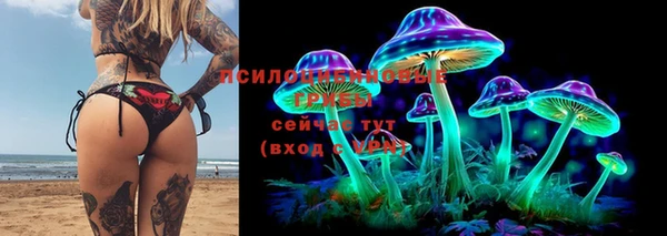 дживик Магас