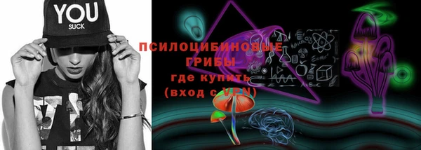 мескалин Шадринск