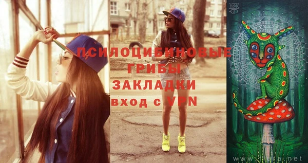 PSILOCYBIN Магадан