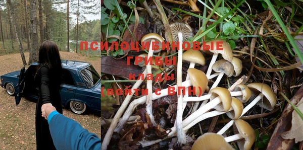 PSILOCYBIN Магадан