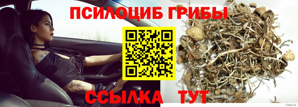 Cocaine Ханты-Мансийск